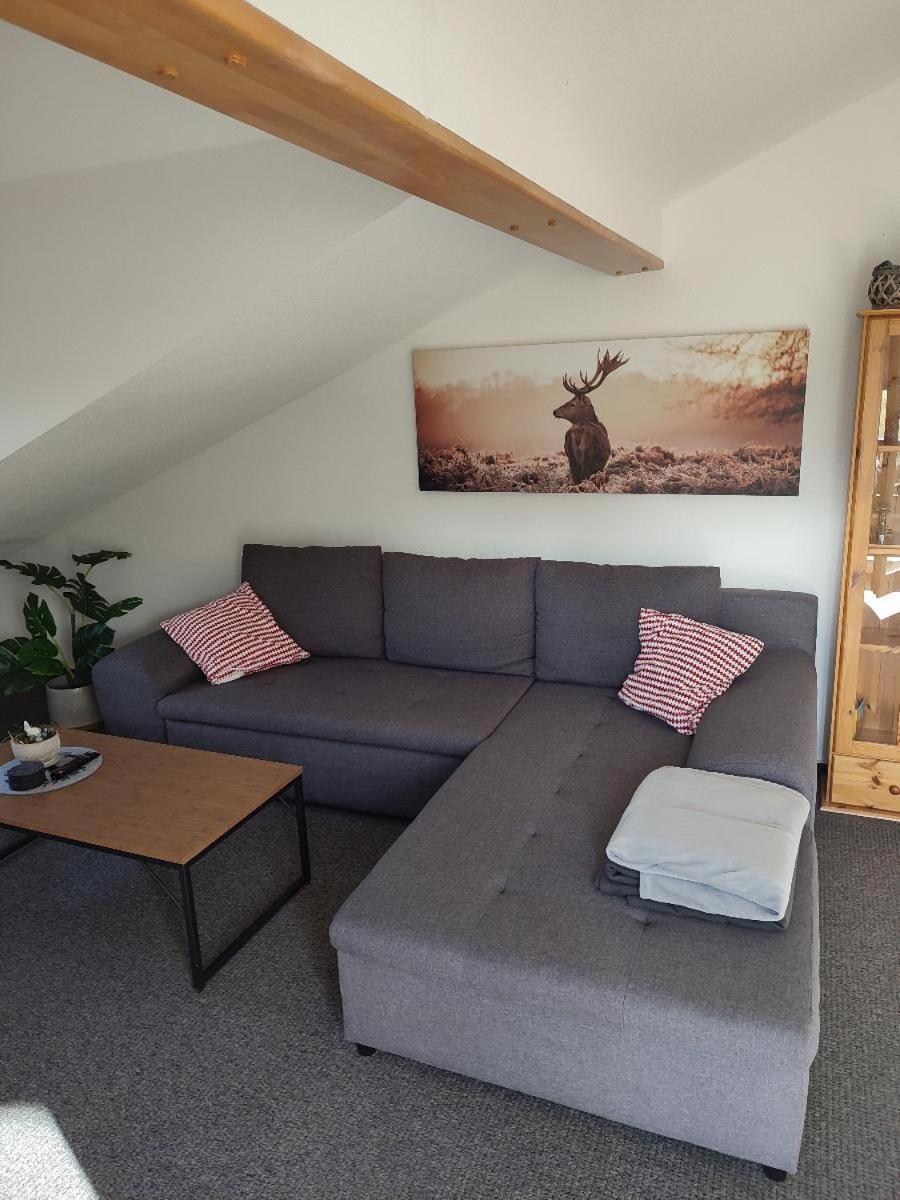 Ferienwohnung Schmidt ไบเออริช ไอเซินชไตน์ ภายนอก รูปภาพ